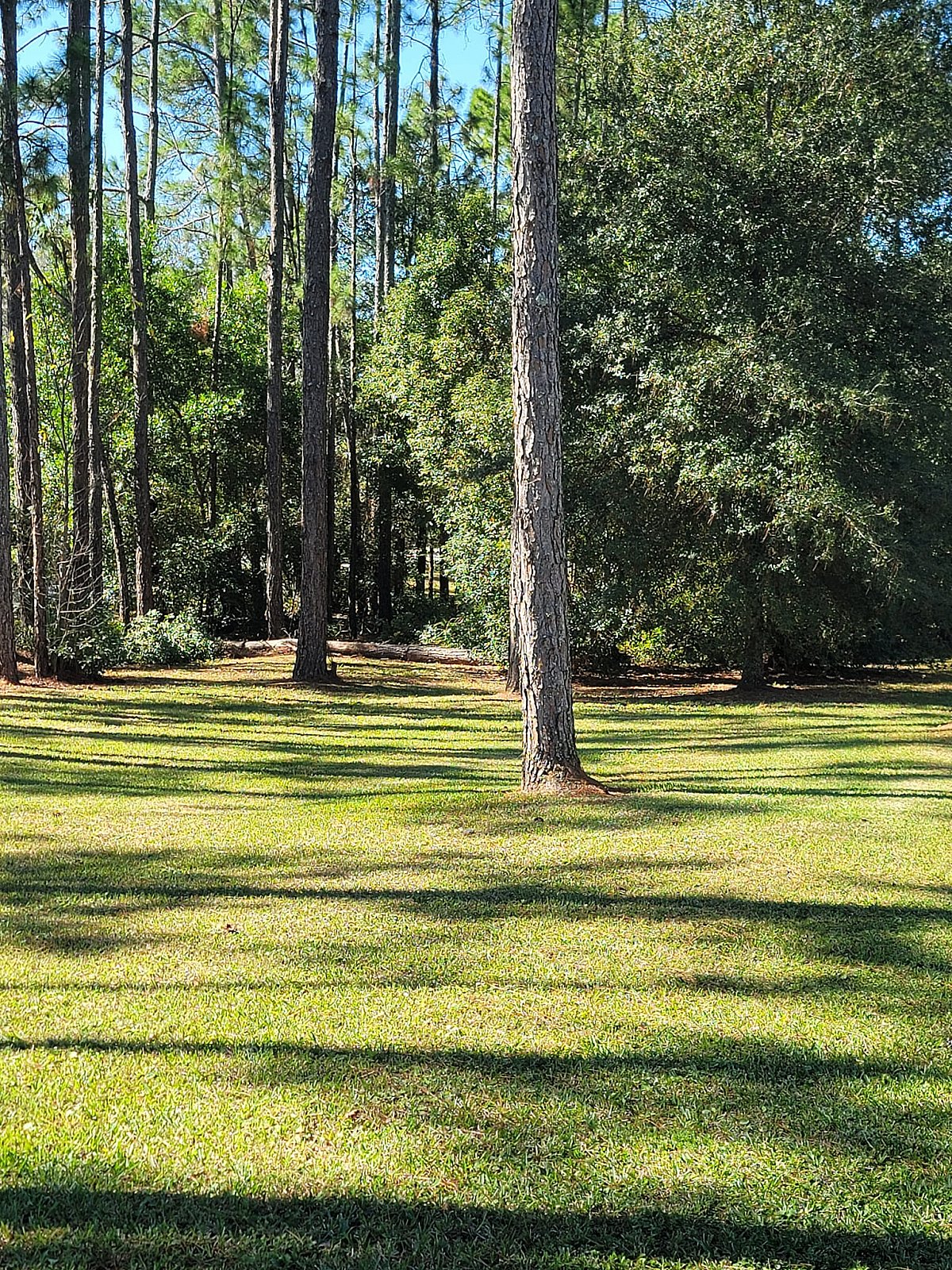 Forestry Mulching
