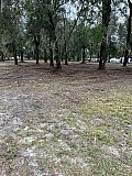 Forestry Mulching