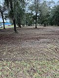 Forestry Mulching