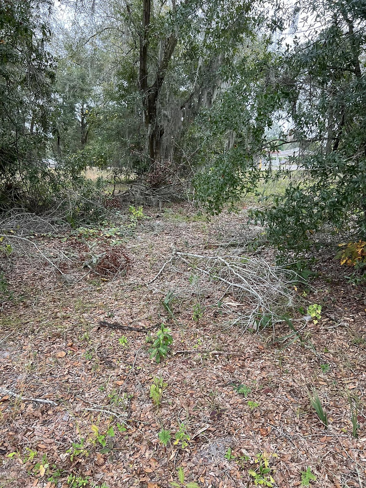 Forestry Mulching