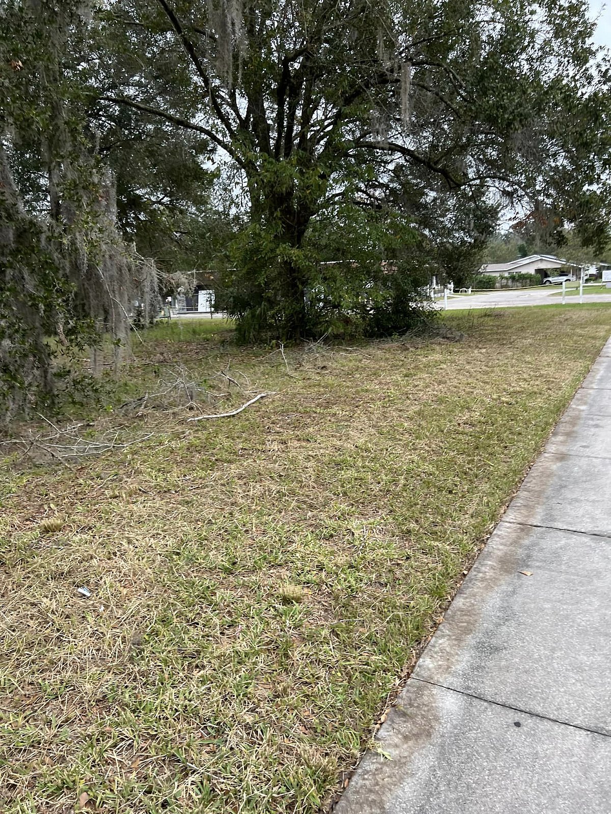 Forestry Mulching