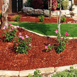 Mulch Covering